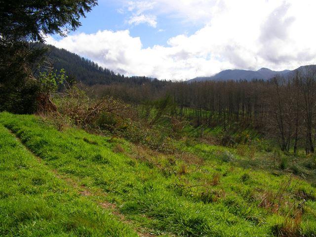Lot 25 Skyview Road Tillamook, OR 97141 - Photo 3 of 21 P3180329.JPG