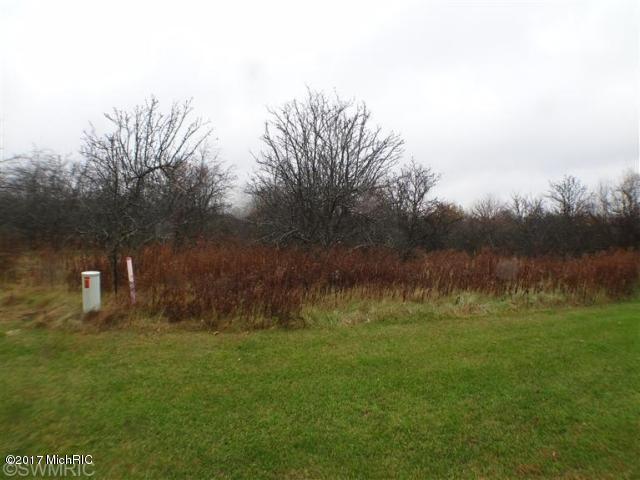 6 Apple Ridge Lowell, MI 49331 - Photo 3 of 3 apple ridge 5