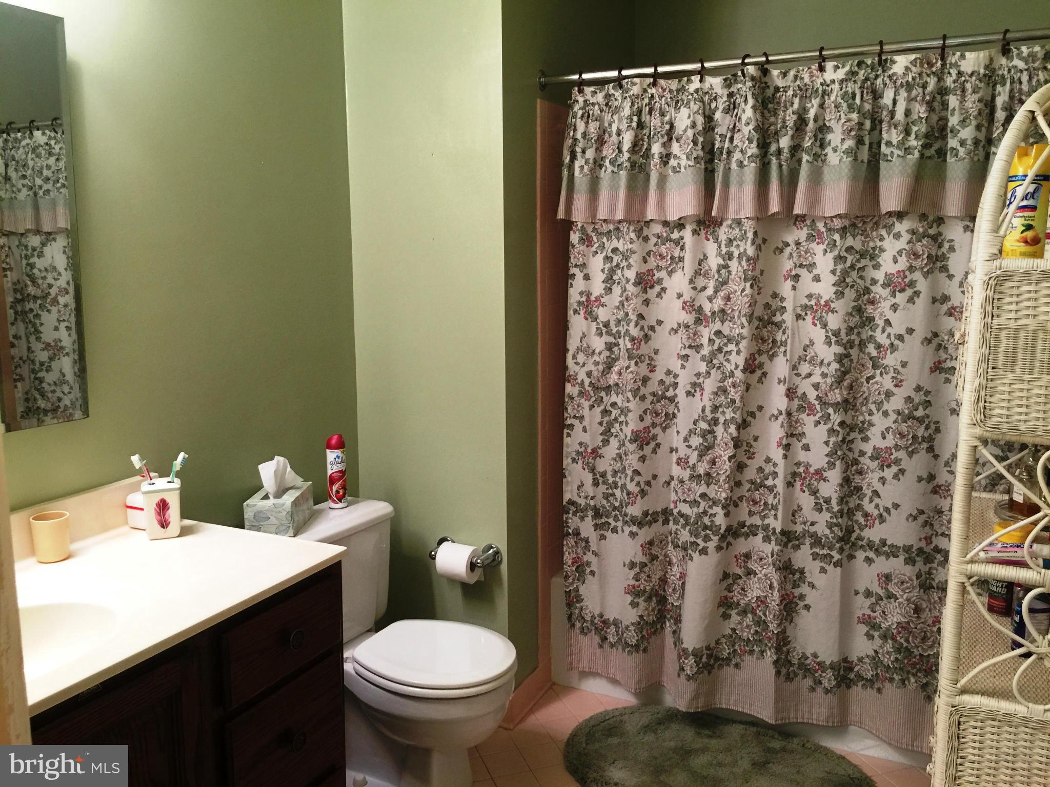 1921 Chapel Hill Road Silver Spring, MD 20906 - Photo 25 of 28 Bath (Master)