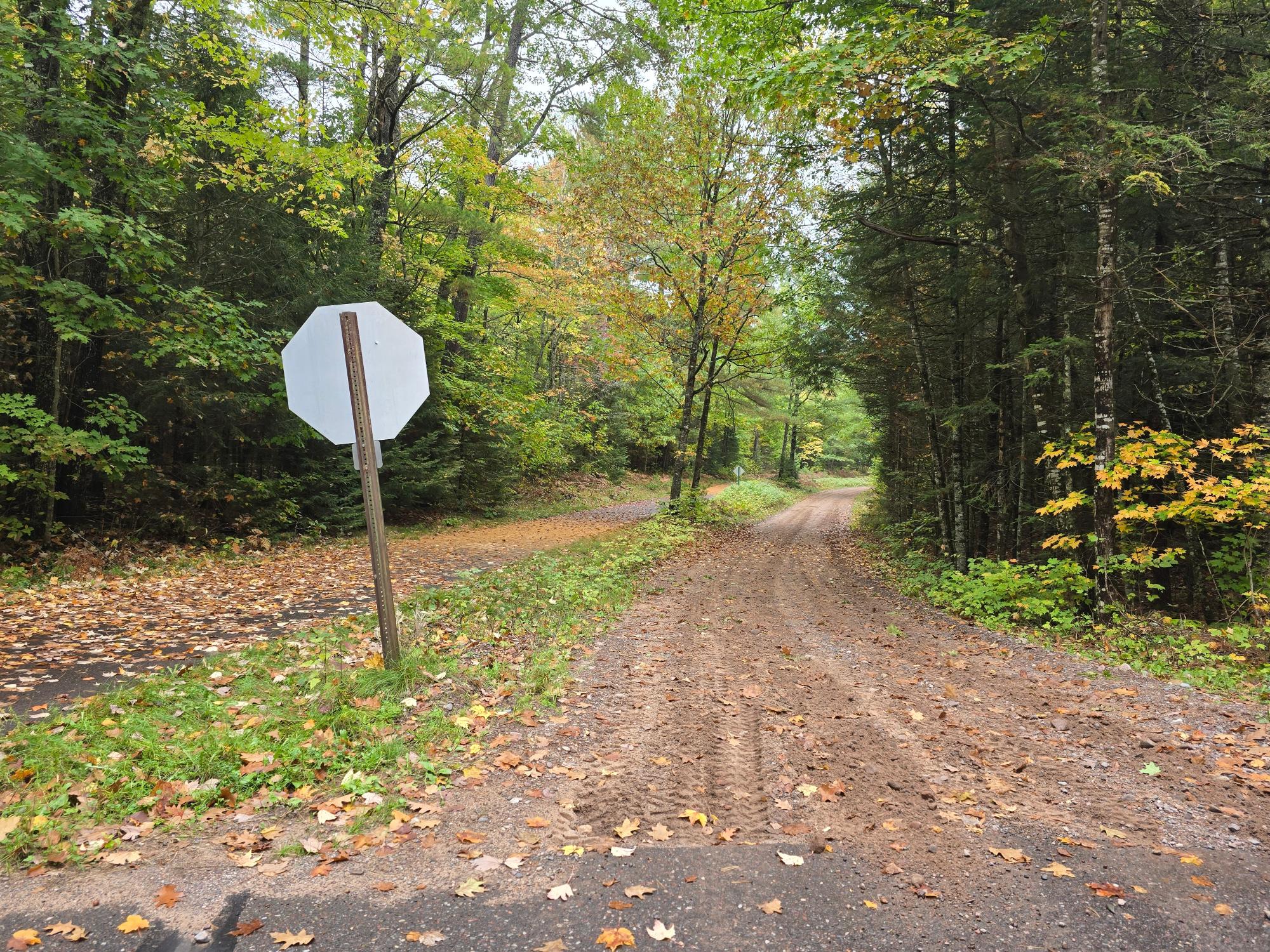 6538 Anderson Lake Road Land O'Lakes, WI 54540 - Photo 23 of 25 Gallery Image 23