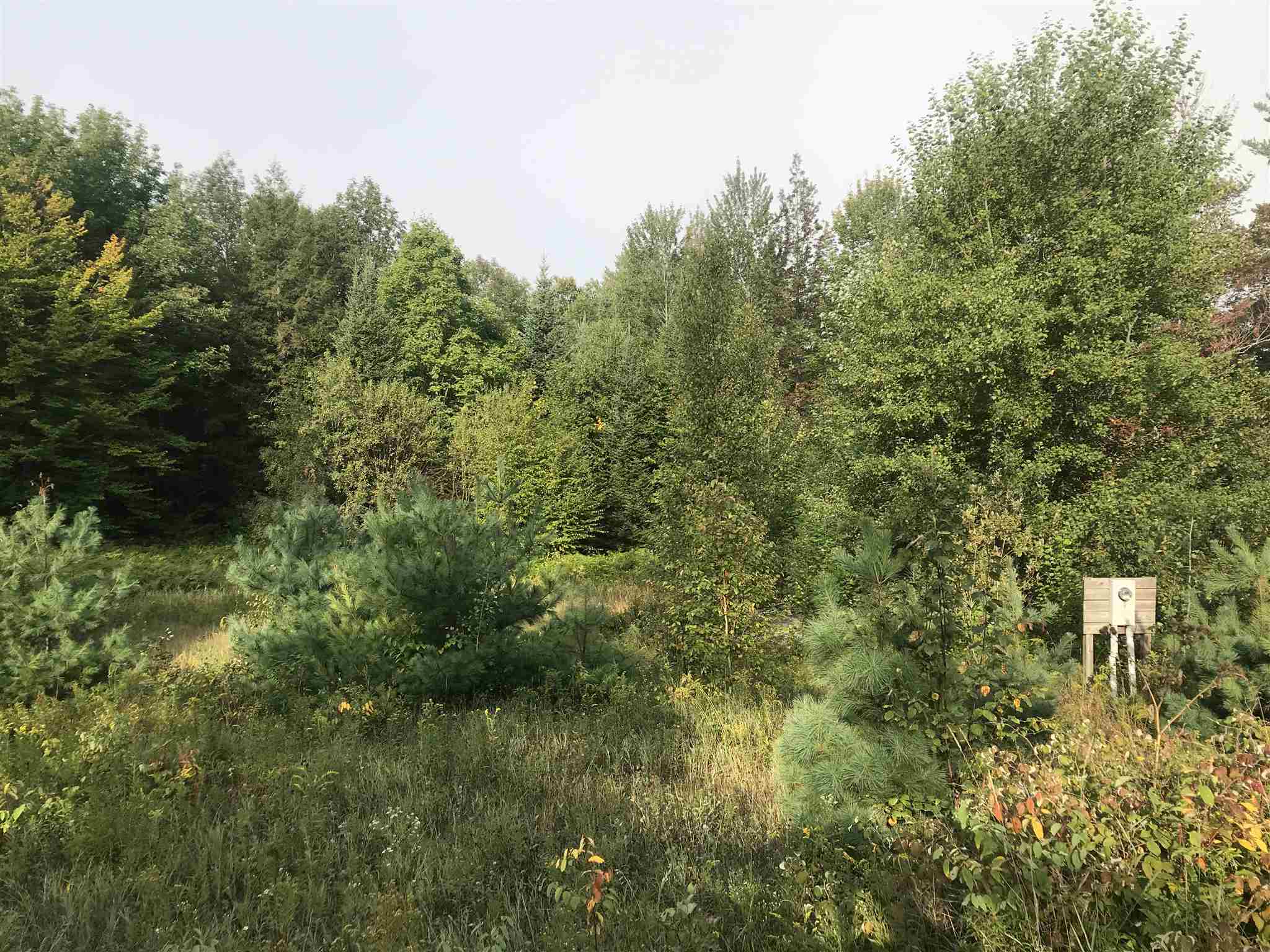 0 Young's Road East Haven, VT 05837 - Photo 2 of 4 Gallery Image 2