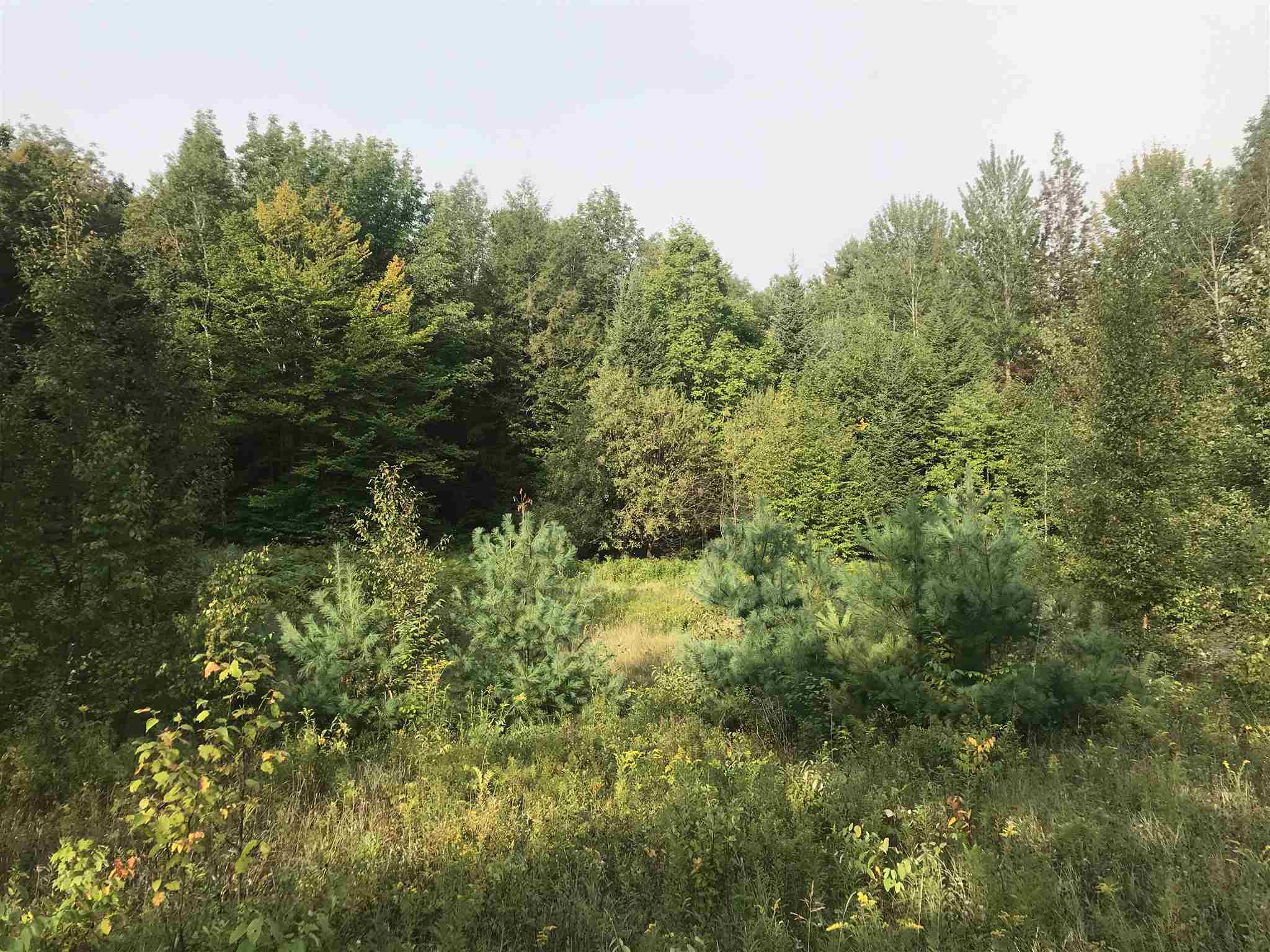 0 Young's Road East Haven, VT 05837 - Photo 3 of 4 Gallery Image 3