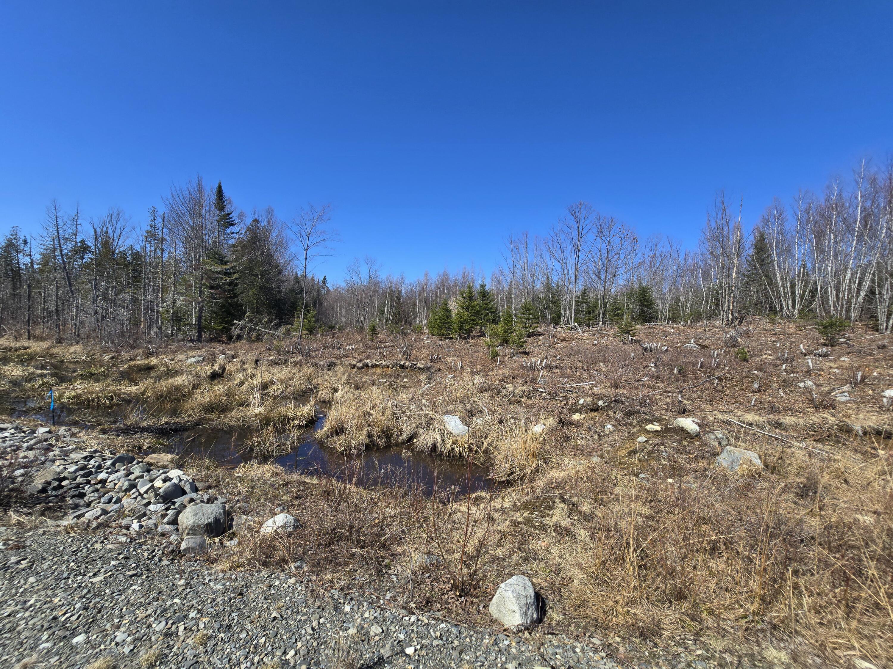 0 Chadbourne Road Harmony, ME 04942 - Photo 20 of 22 20260408_141043