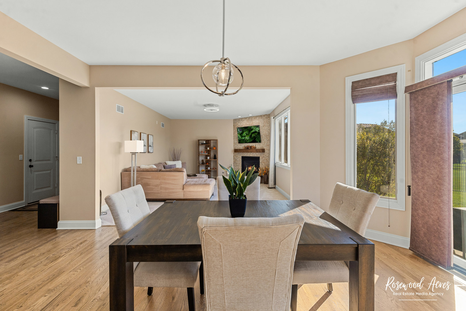 11453 Falls View Way Frankfort, IL 60423 - Photo 11 of 40