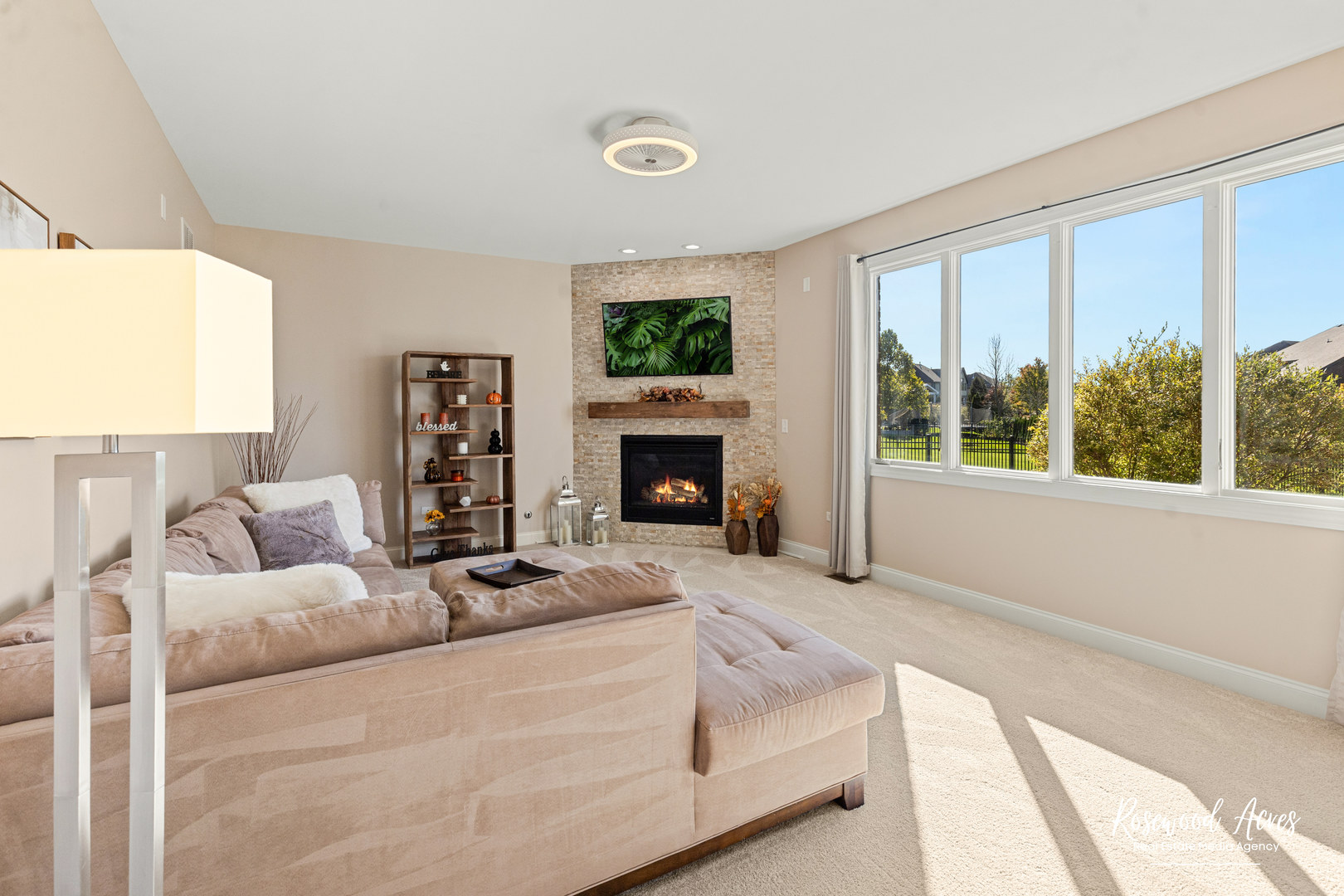 11453 Falls View Way Frankfort, IL 60423 - Photo 17 of 40