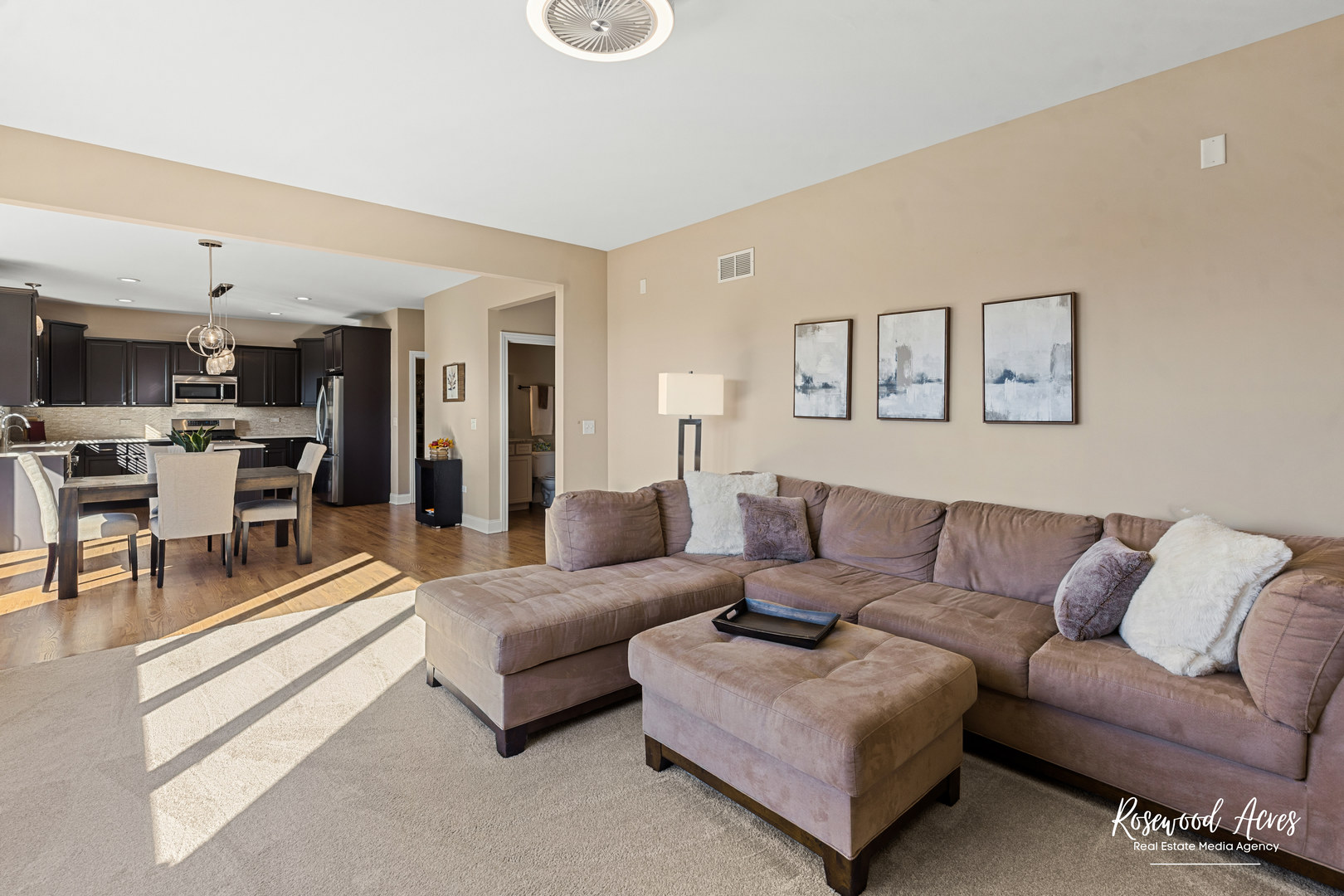 11453 Falls View Way Frankfort, IL 60423 - Photo 19 of 40