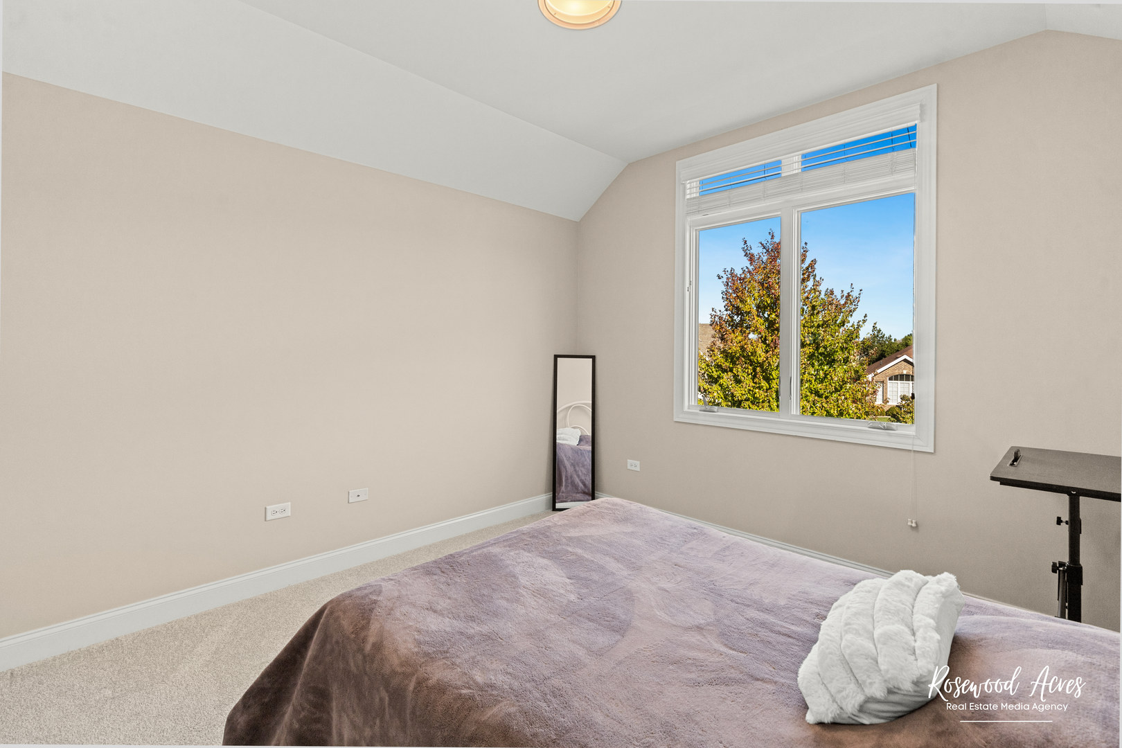 11453 Falls View Way Frankfort, IL 60423 - Photo 23 of 40