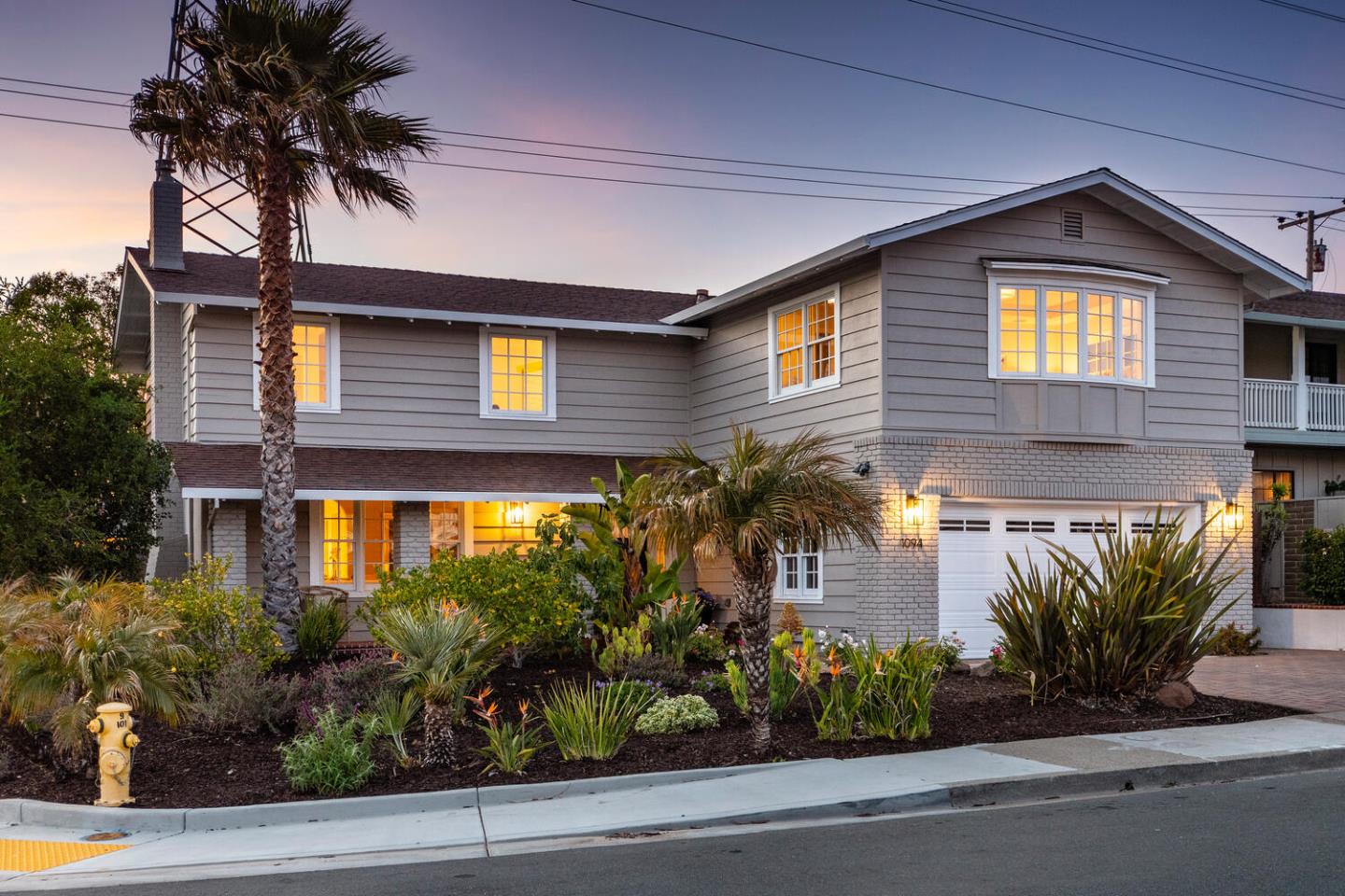 a front view of a house with plants