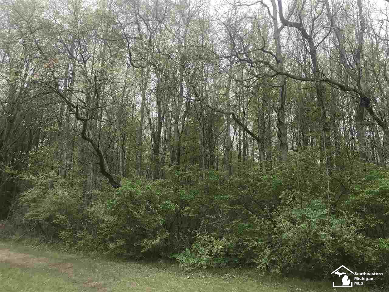 0 Bunton Road Milan, MI 48160 - Photo 5 of 22