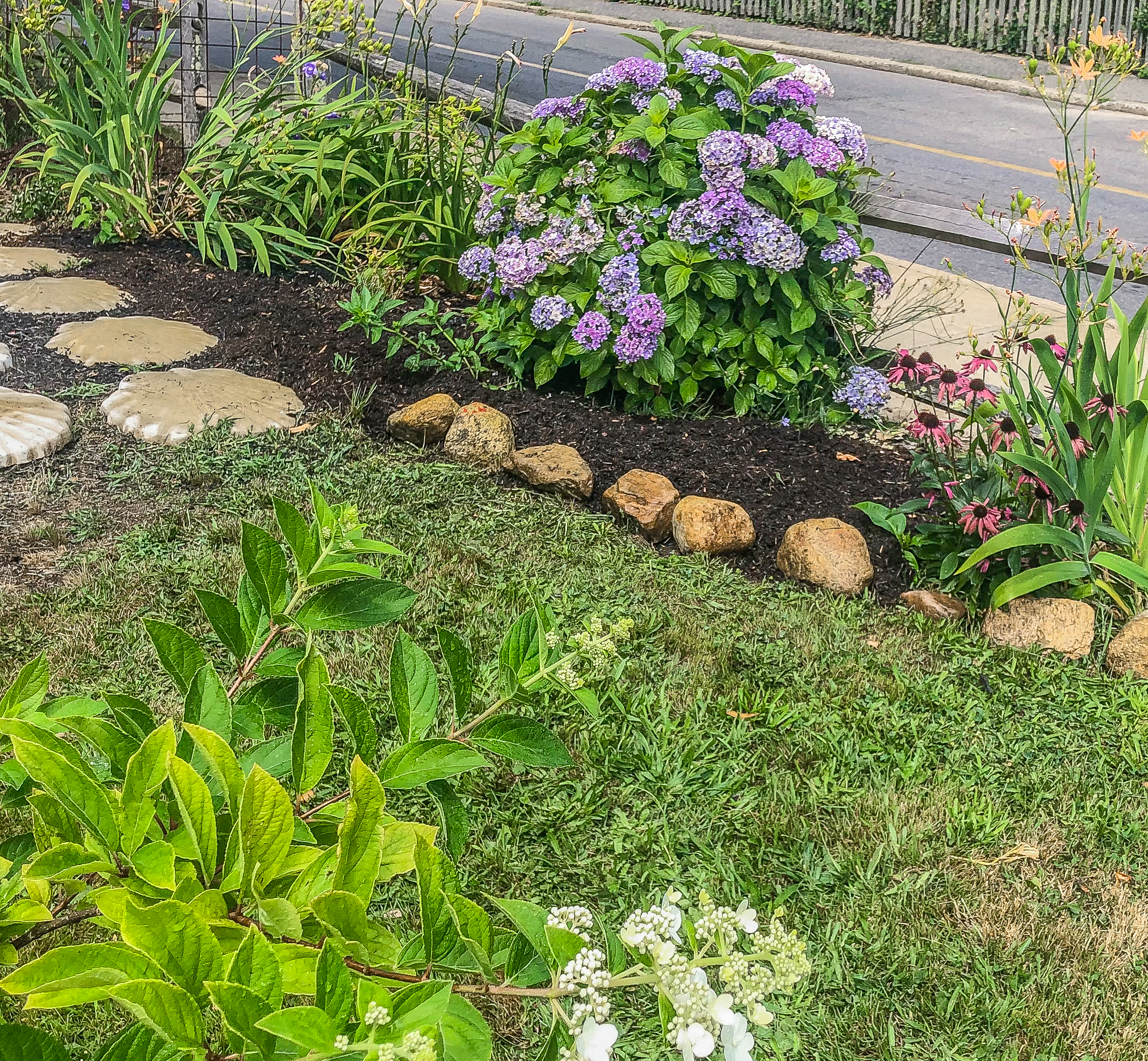 112 Spring Street Vineyard Haven, MA 02568 - Photo 19 of 25 a bunch of flowers in the garden