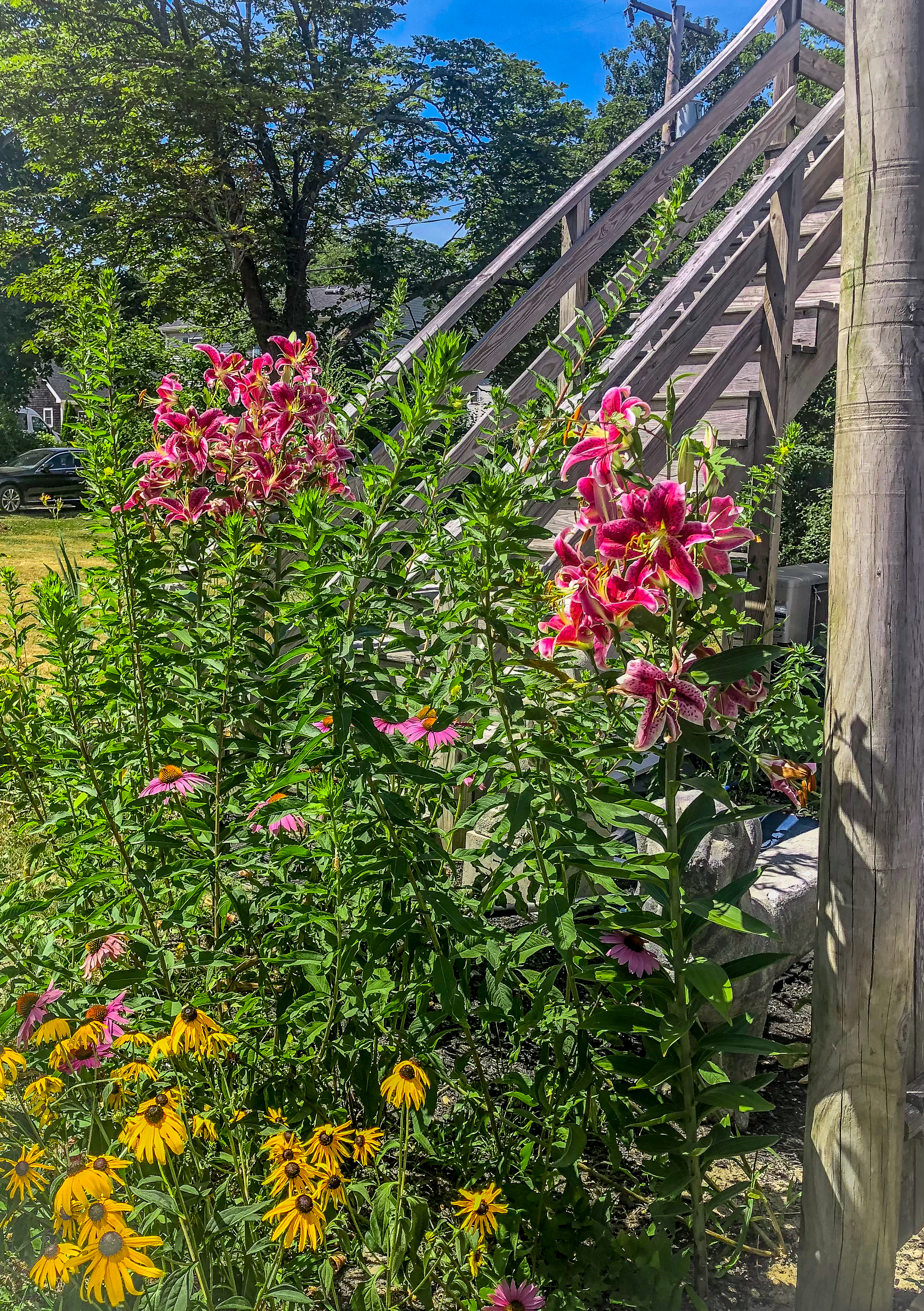 112 Spring Street Vineyard Haven, MA 02568 - Photo 20 of 25