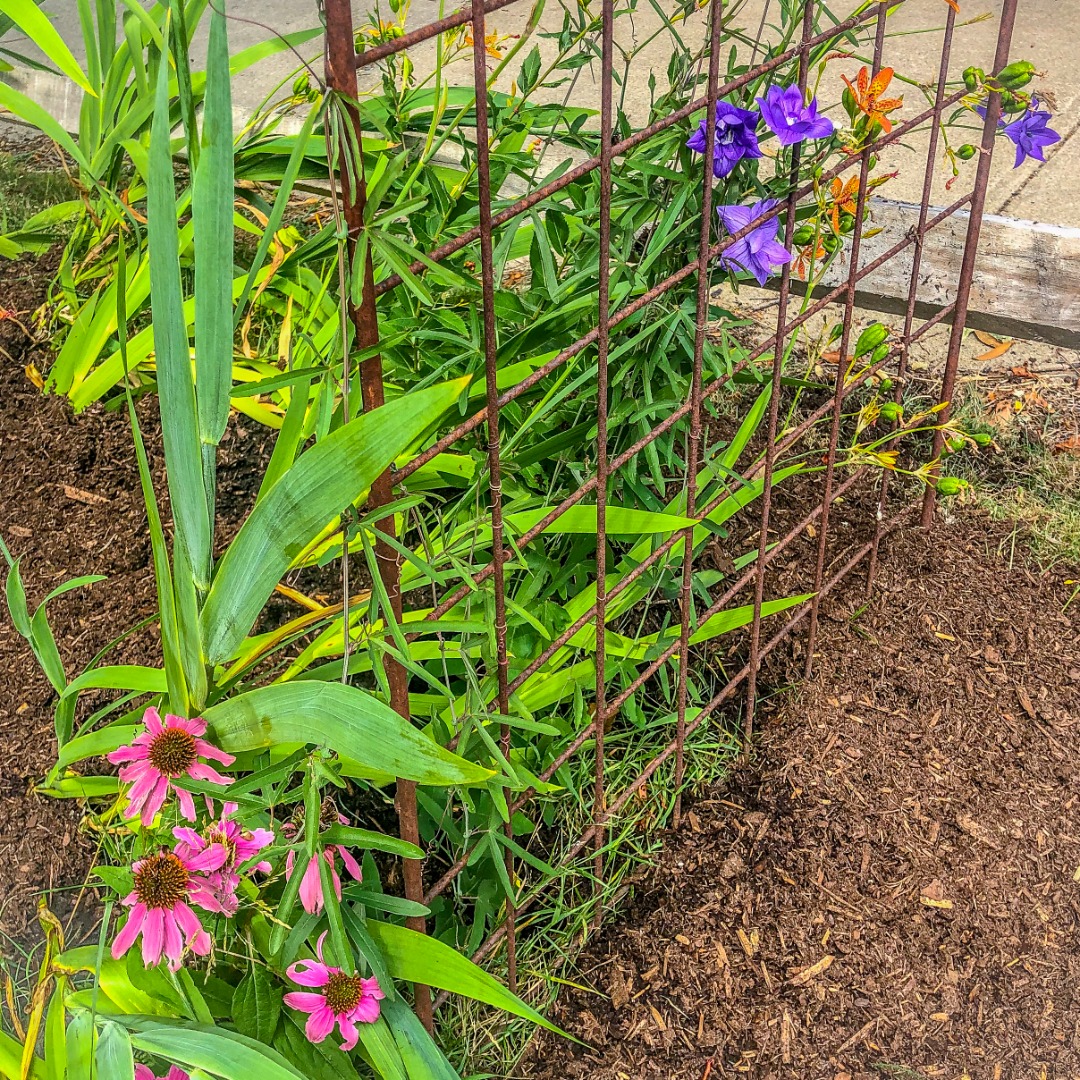 112 Spring Street Vineyard Haven, MA 02568 - Photo 22 of 25 a flower view