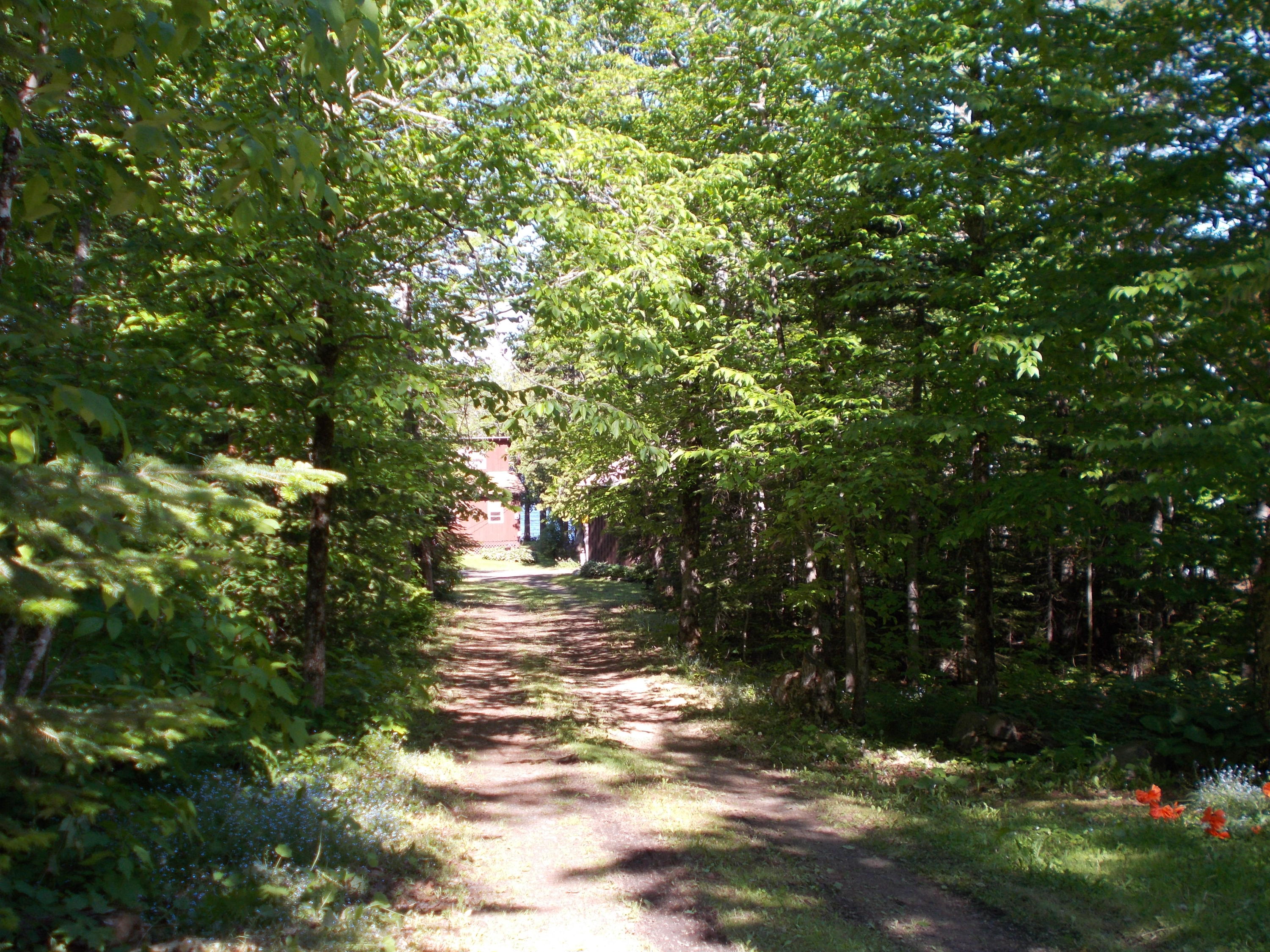 531 East Cottage Road Portage, ME 04768 - Photo 27 of 27 DSCN7165
