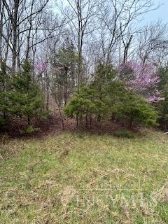 1075 Cooper Road West Union, OH 45693 - Photo 7 of 10