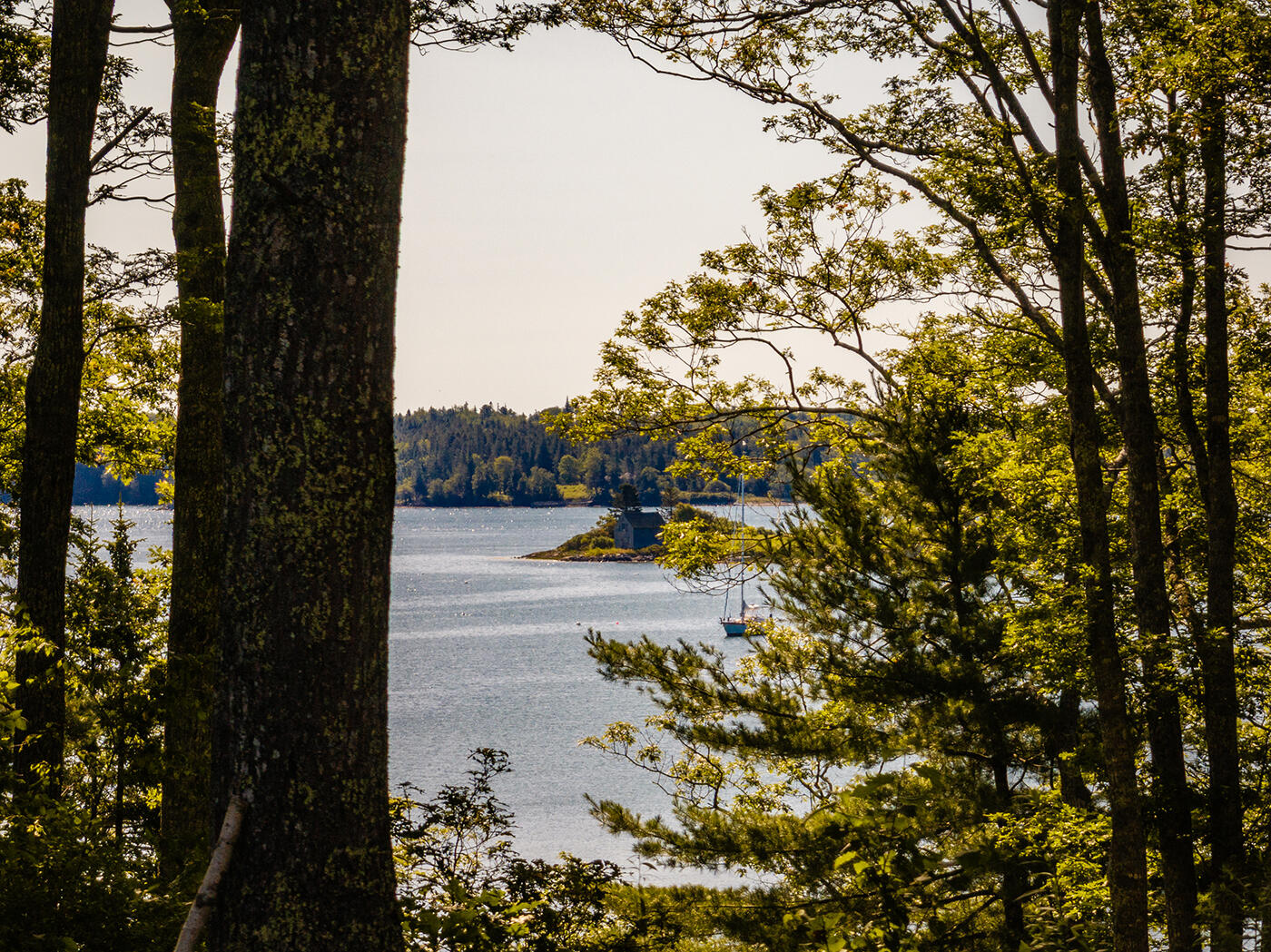 794 Pleasant Point Road Cushing, ME 04563 - Photo 46 of 78 DJI_0132