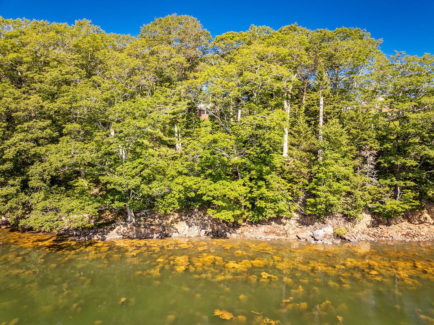 794 Pleasant Point Road Cushing, ME 04563 - Photo 59 of 78 DJI_0154