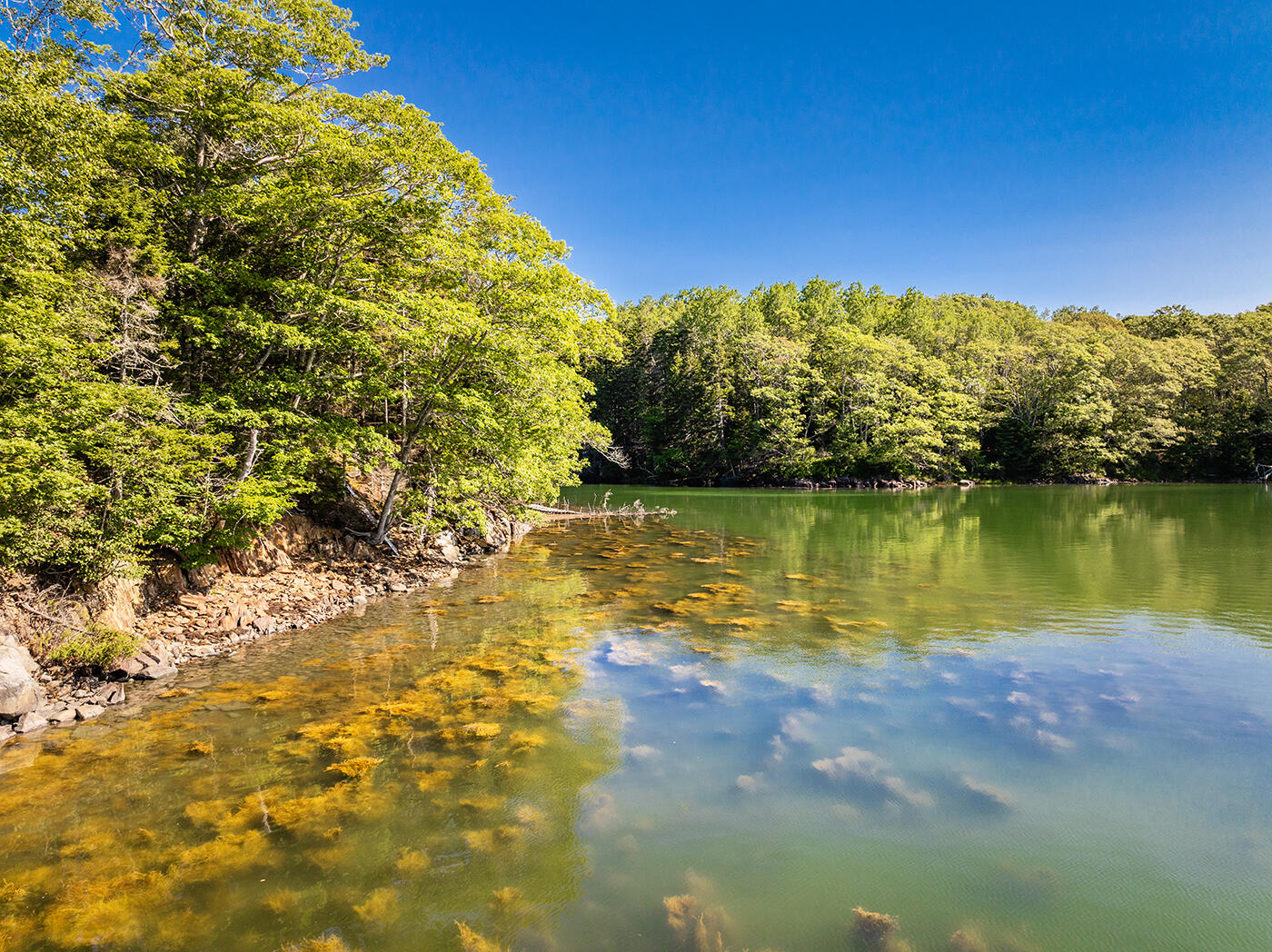 794 Pleasant Point Road Cushing, ME 04563 - Photo 59 of 77 DJI_0155