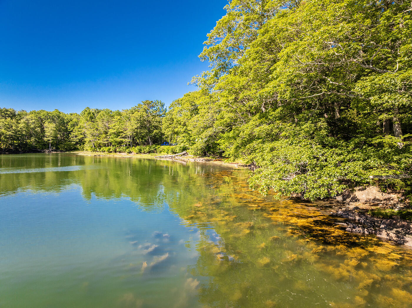 794 Pleasant Point Road Cushing, ME 04563 - Photo 60 of 77 DJI_0156