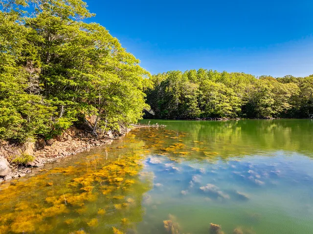 $949,000 | 794 Pleasant Point Road, Cushing, ME 04563