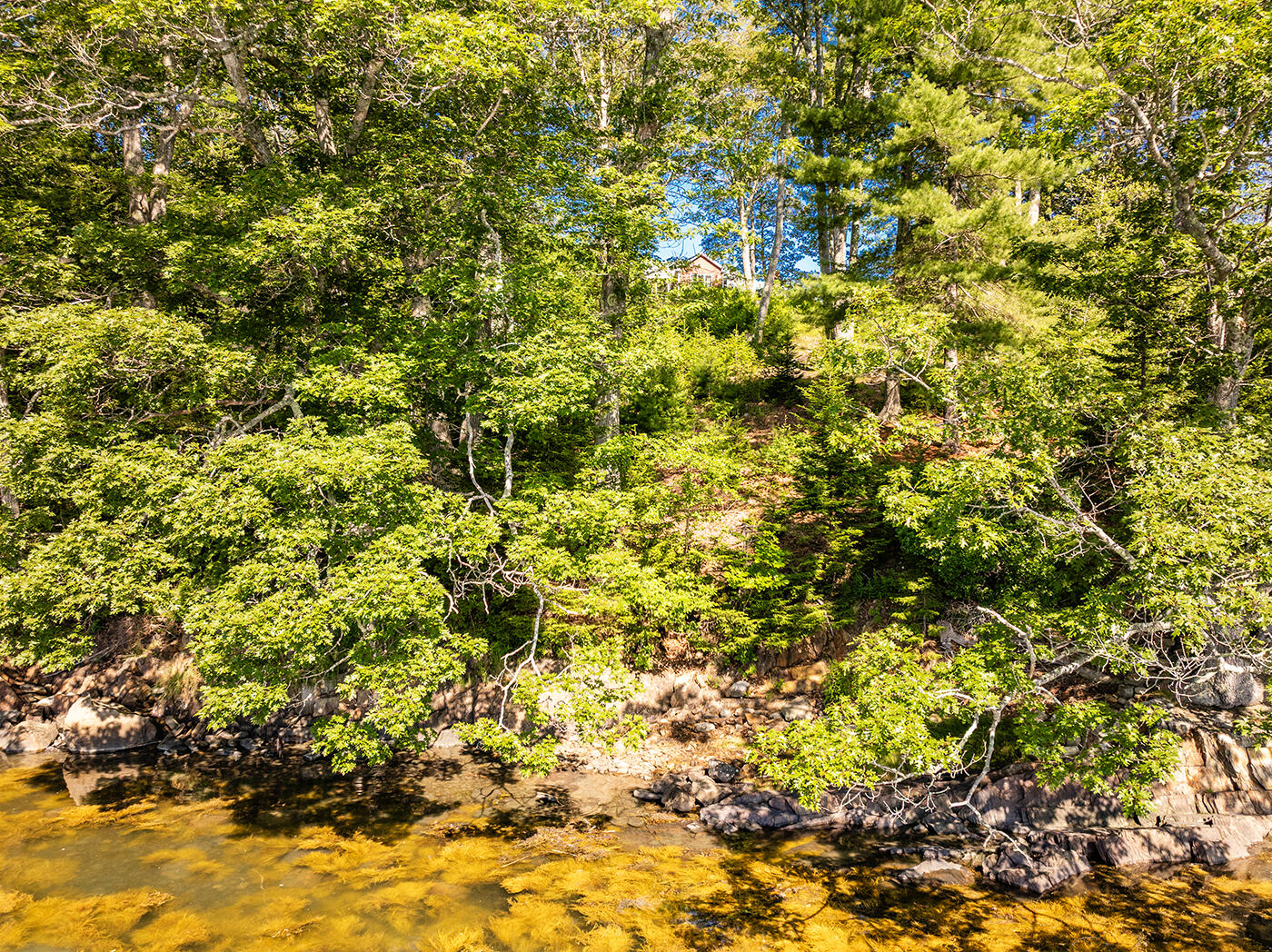 794 Pleasant Point Road Cushing, ME 04563 - Photo 62 of 77 DJI_0158