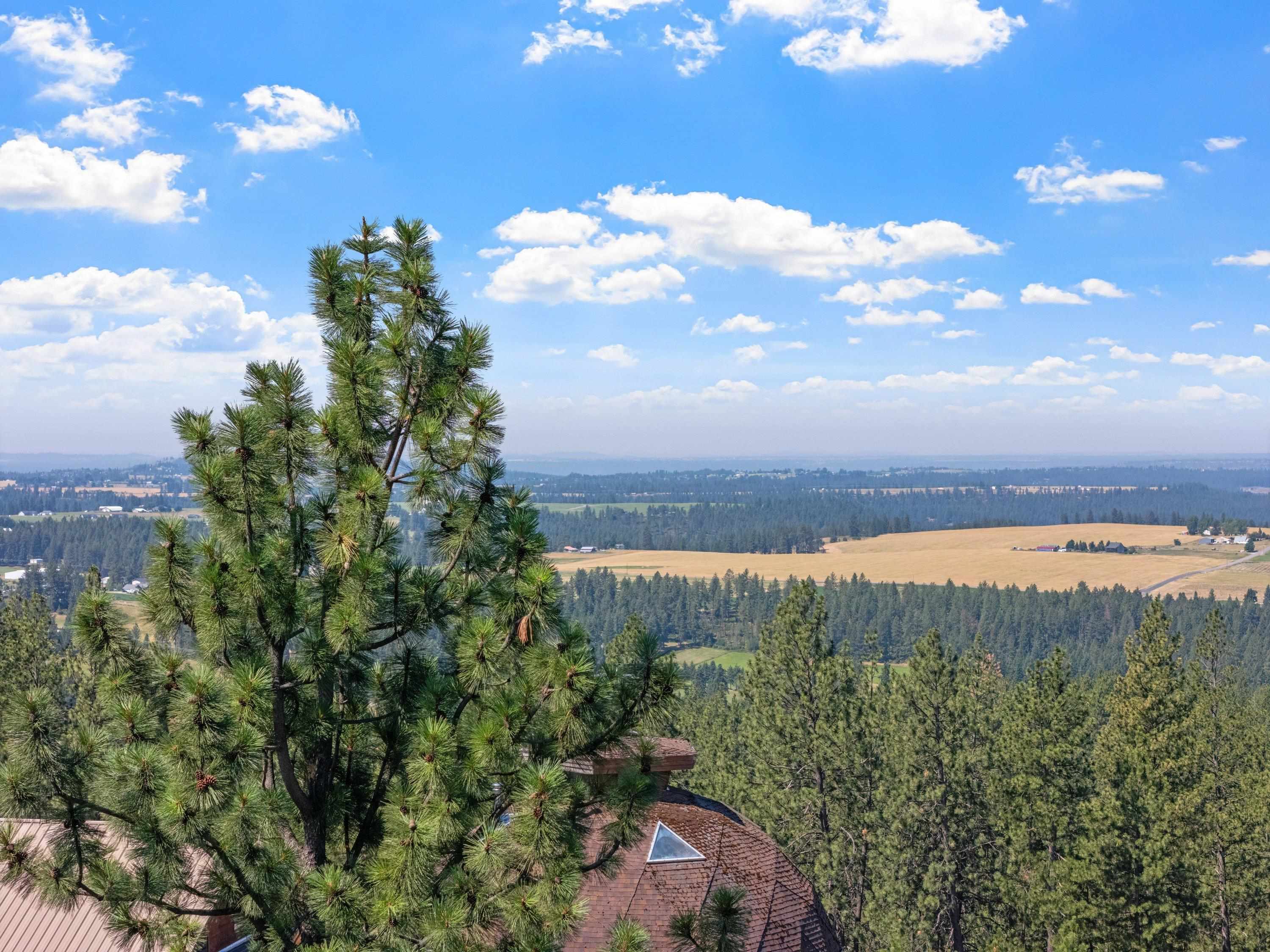 16315 East Temple Road Spokane, WA 99217 - Photo 43 of 49