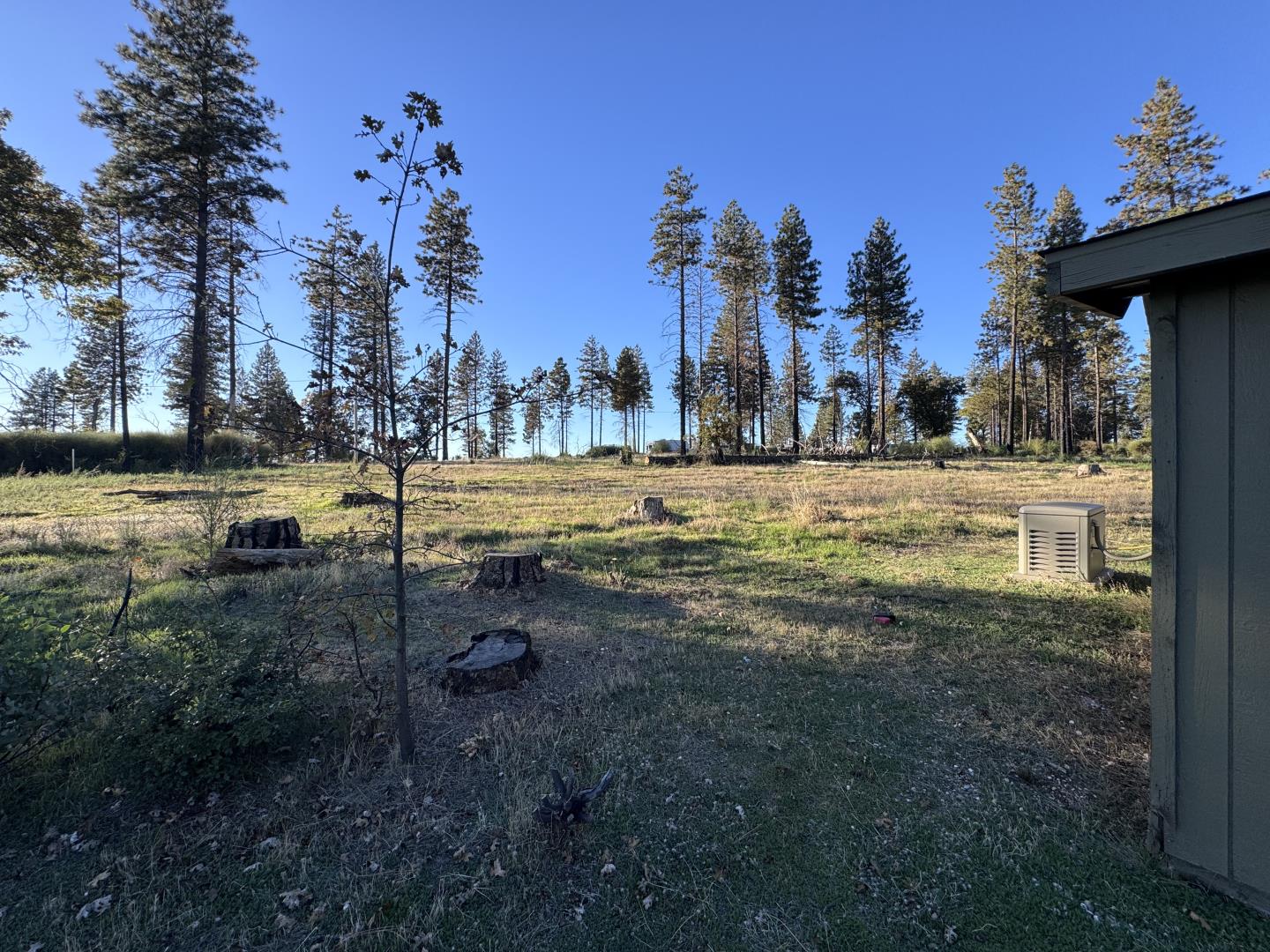 12168 Granite Ridge Road Oroville, CA 95965 - Photo 12 of 34 a view of a yard with an outdoor space