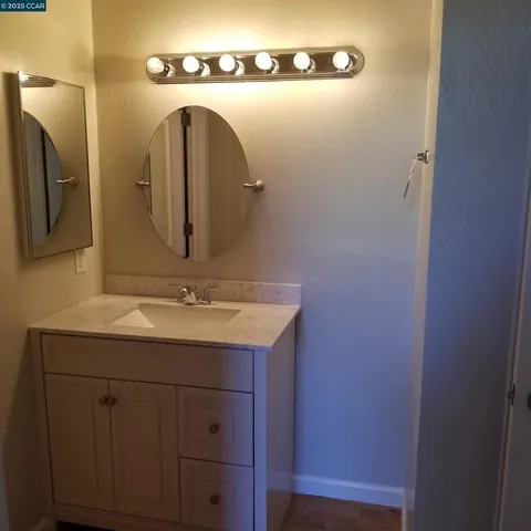 a view of a tree in a yard