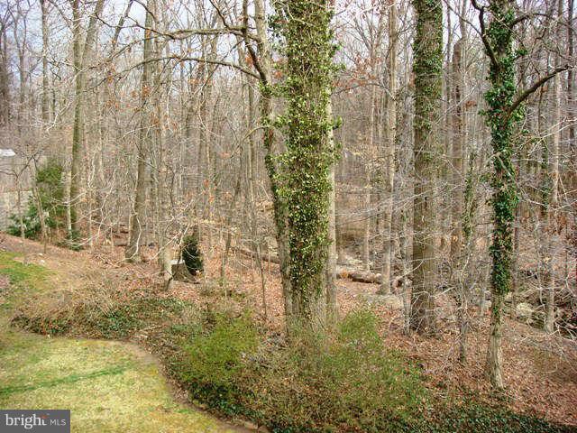 8205 Langbrook Road Springfield, VA 22152 - Photo 3 of 20 Exterior (Rear)