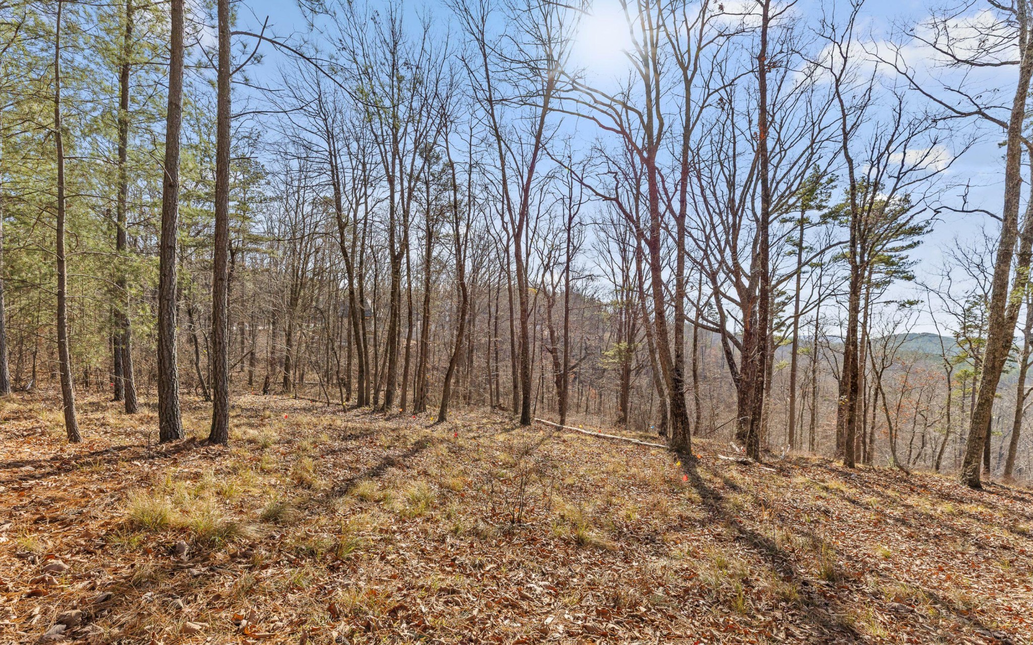 1179 Split Rail Way Guild, TN 37340 - Photo 12 of 27 Gallery Image 12
