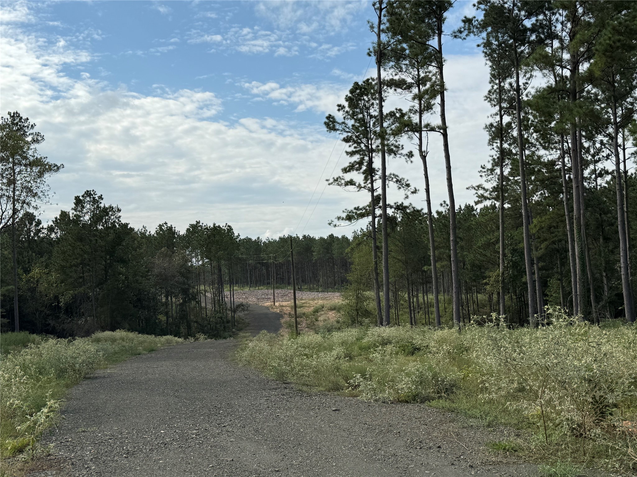 492 Piney Creek Estates Road Timpson, TX 75975 - Photo 4 of 9 Gallery Image 4