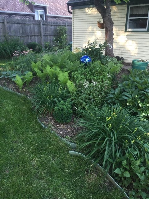 1105 South Raven Road Shorewood, IL 60404 - Photo 39 of 41 Gallery Image 39