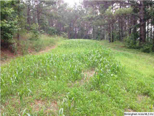 Carriage Lane, Unit 18 Alabaster, AL 35007 - Photo 3 of 4