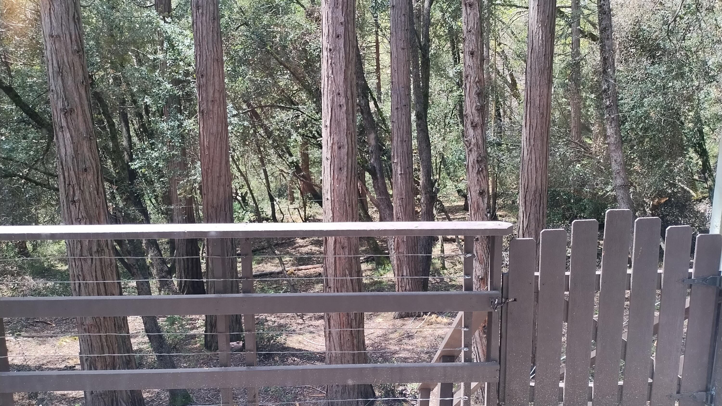 1693 Forest Rte 21S94 Camp Nelson, CA 93265 - Photo 22 of 86 18-View of deck and forest from bedroom