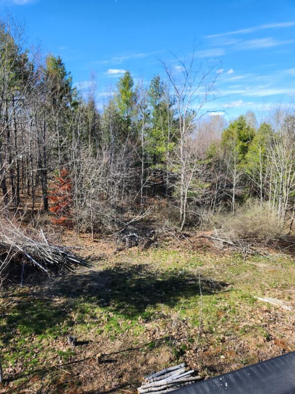 315 Golf Course Road Newport, ME 04953 - Photo 3 of 26 grok-image-5a5bef8f-a910-43a6-84bf-ef72c
