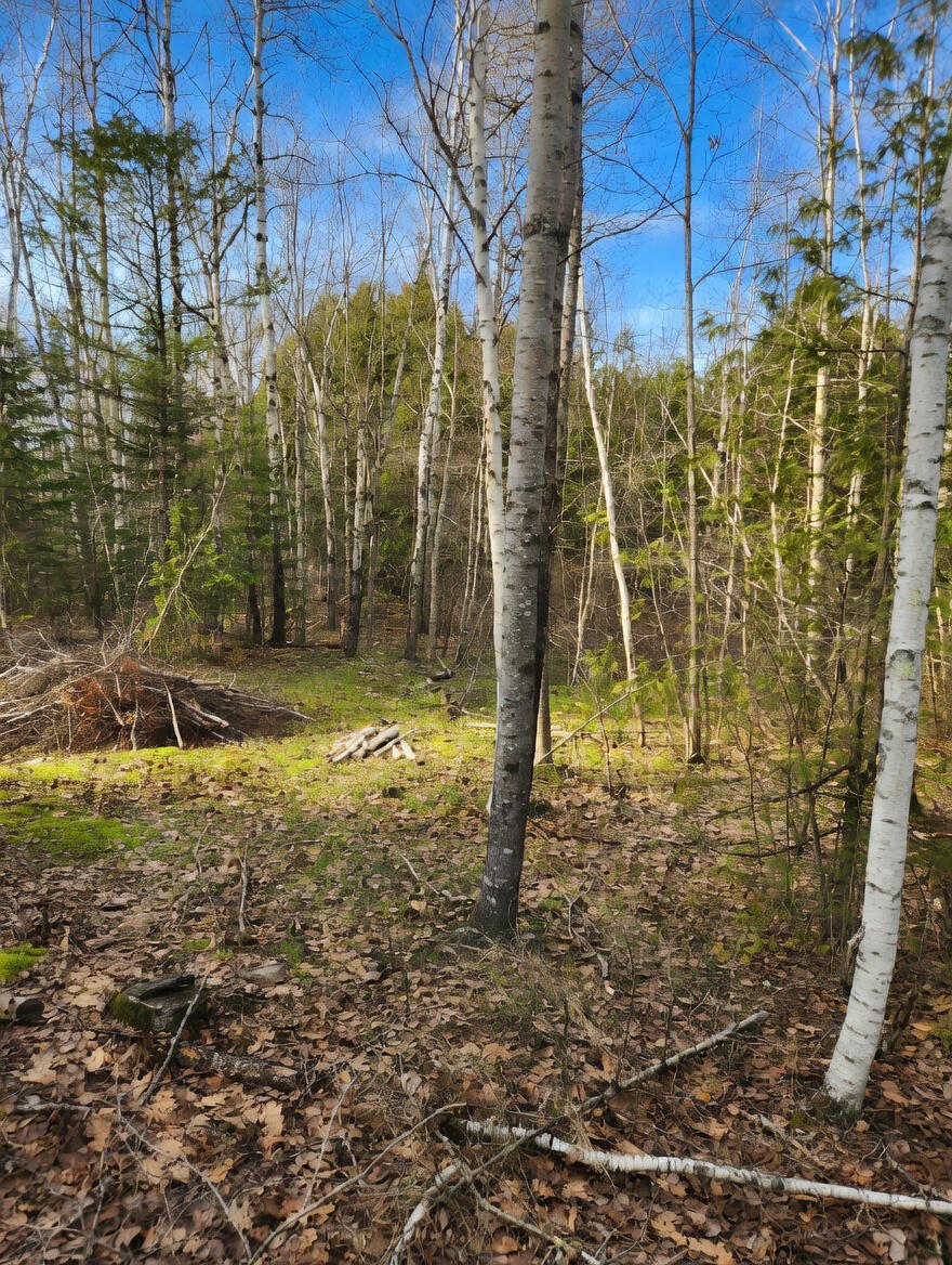 315 Golf Course Road Newport, ME 04953 - Photo 8 of 26 1000028816