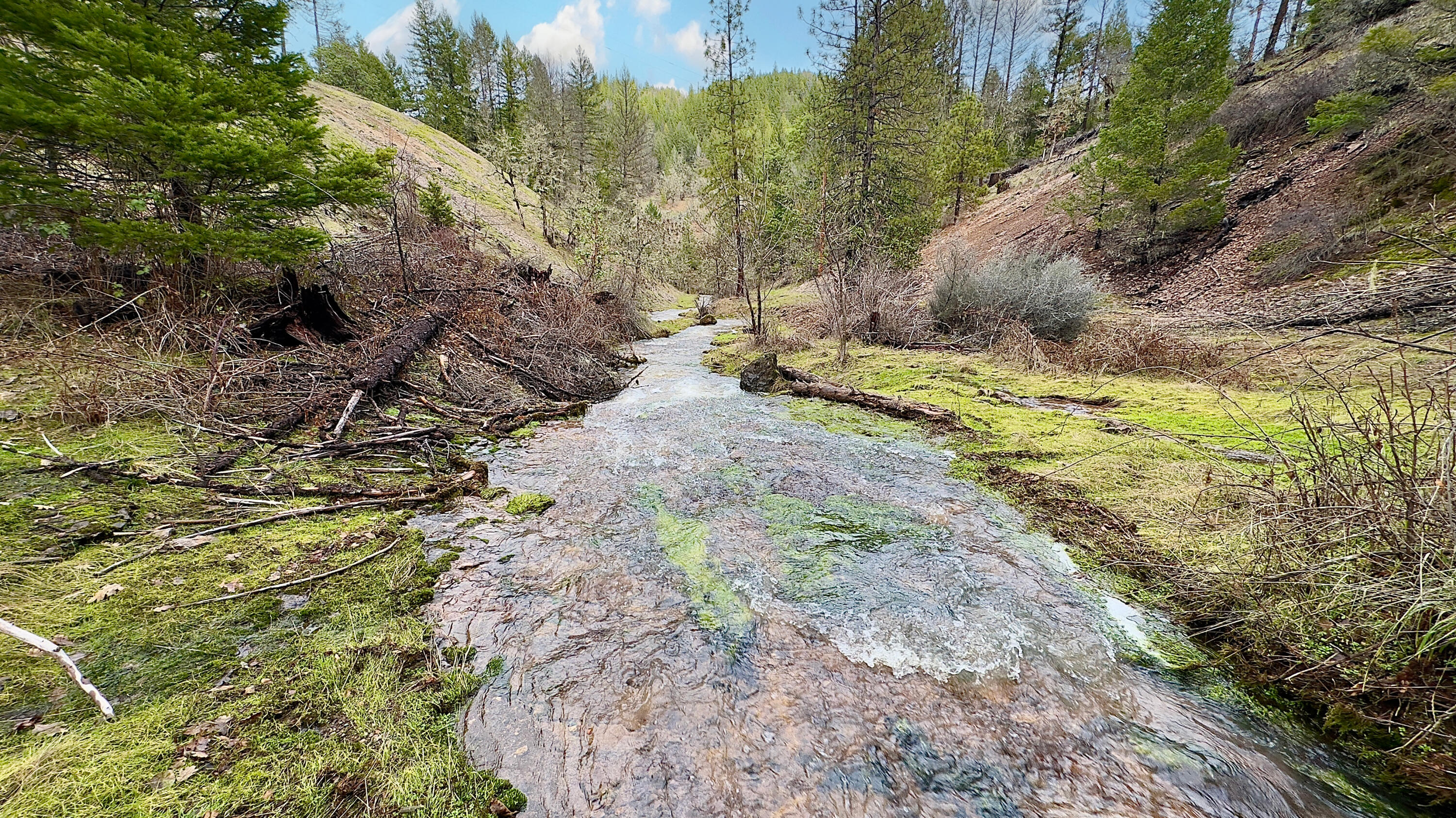 283 West Fork Trail Creek Road Trail, OR 97541 - Photo 6 of 15 Creek