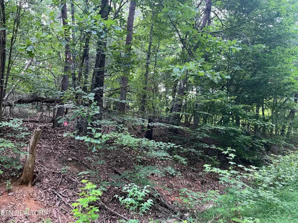 $34,900 | 3278 Hillside Road, White Pine, TN 37890