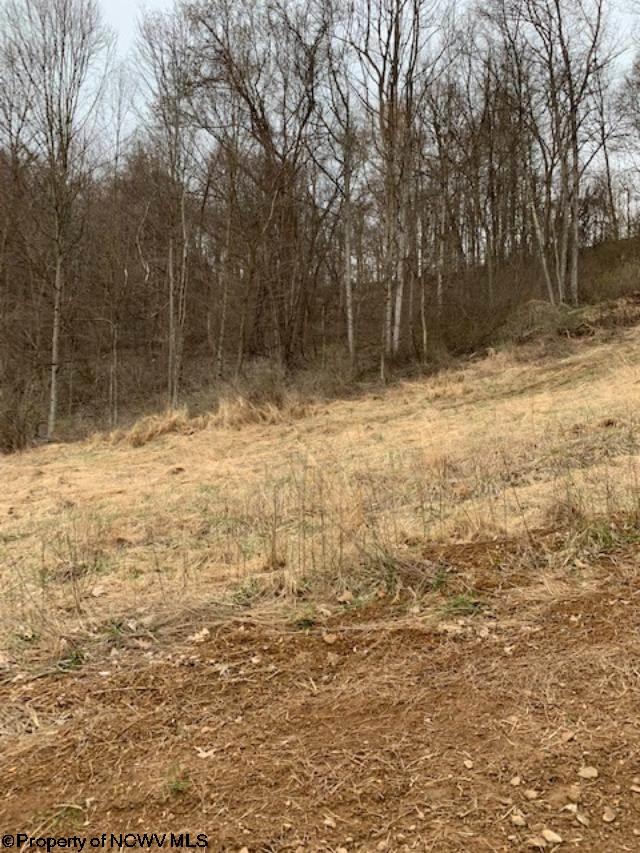 80.5-ac Browns Run Road Mannington, WV 26582 - Photo 4 of 9 Gallery Image 4
