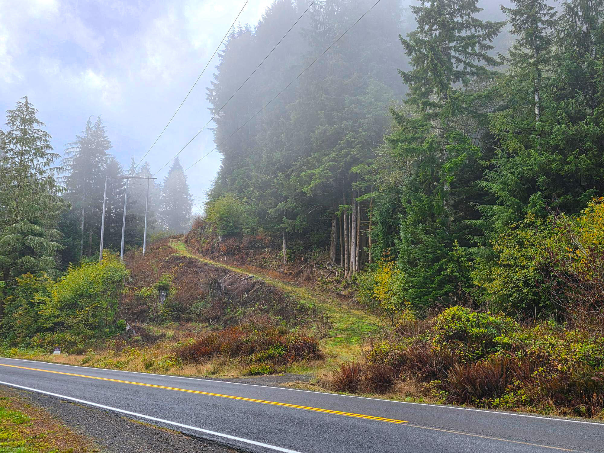 800-900 Miami Foley Road Nehalem, OR 97131 - Photo 1 of 12