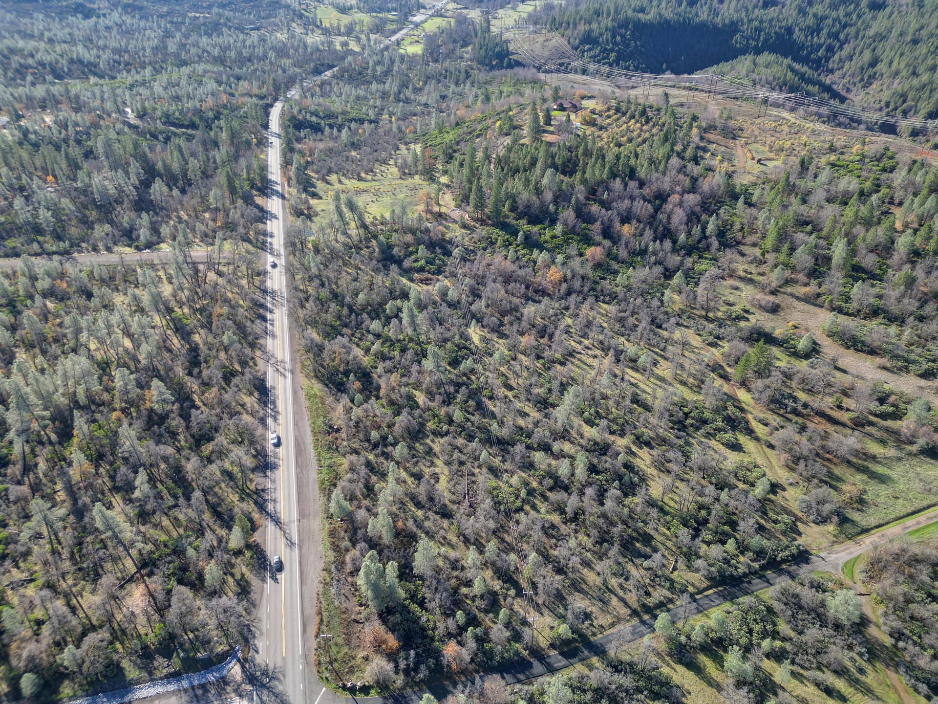 15.77 Acres Dittman Road Montgomery Creek, CA 96065 - Photo 19 of 26 IMG_3345