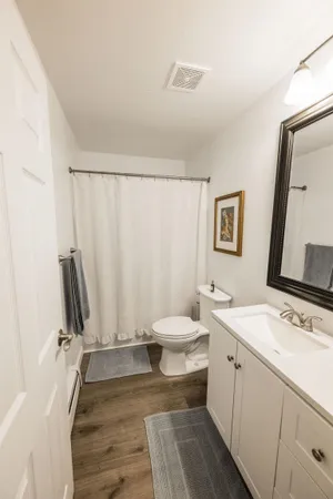 a bathroom with a sink a toilet and mirror