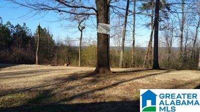 421 Hilltop Road Adamsville, AL 35005 - Photo 24 of 28