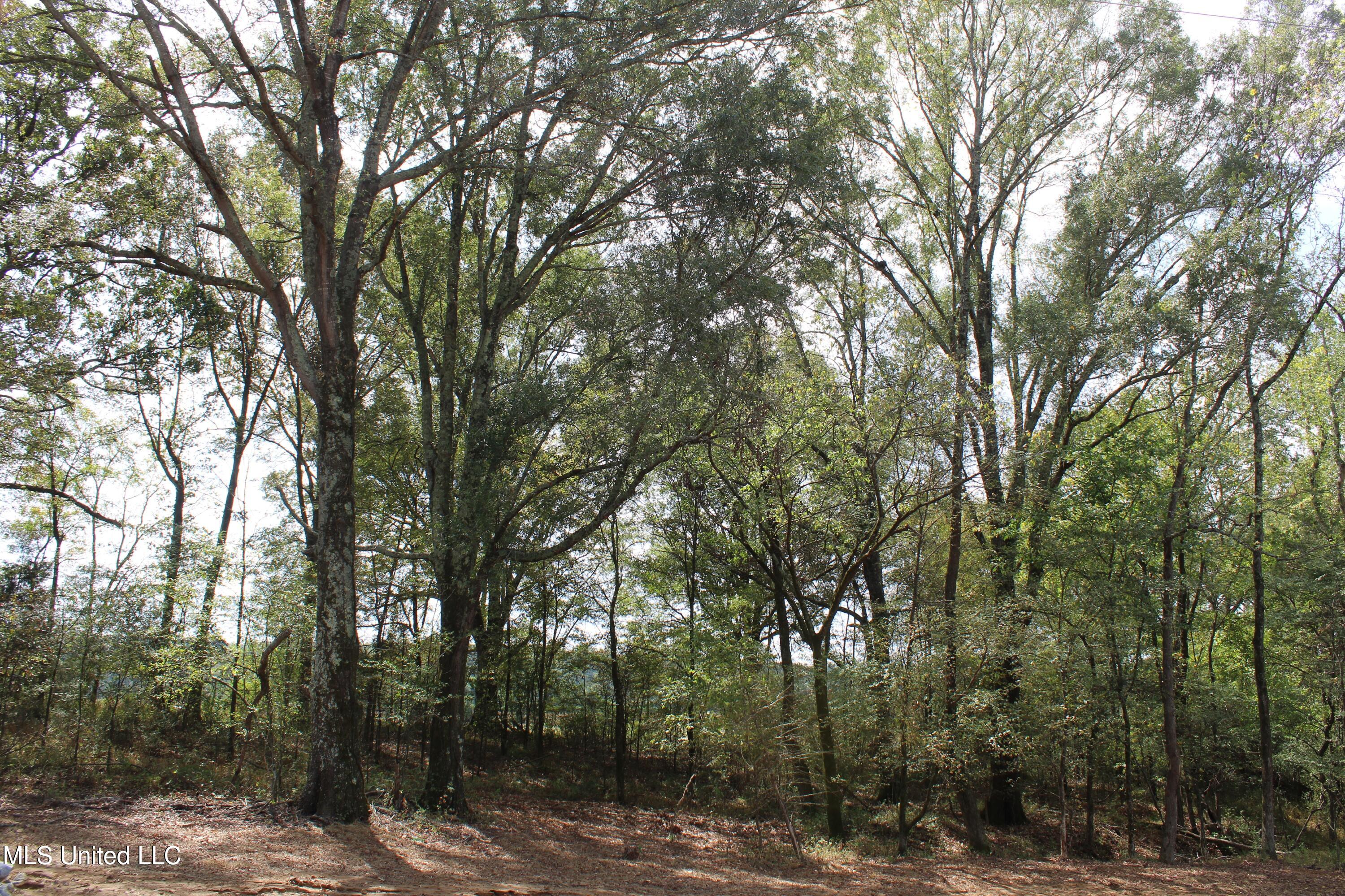 21 Hickory Hollow Road Coldwater, MS 38618 - Photo 11 of 70 IMG_6568