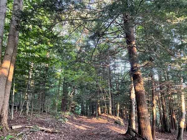 Lot 24 Monroe Road Drury, MA 01343 - Photo 1 of 6 Gallery Image 1