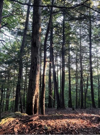 Lot 24 Monroe Road Drury, MA 01343 - Photo 2 of 6 Gallery Image 2