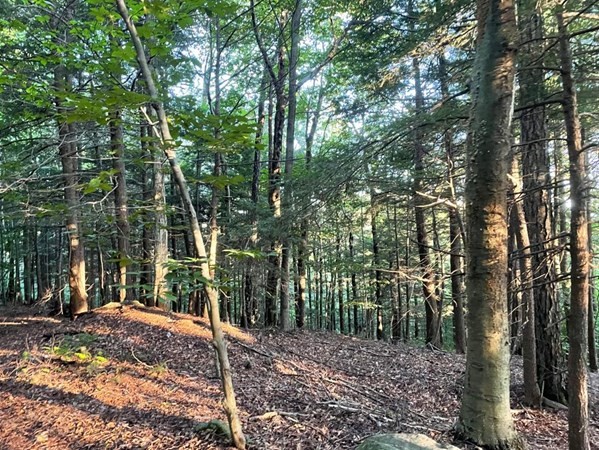 Lot 24 Monroe Road Drury, MA 01343 - Photo 4 of 6 Gallery Image 4