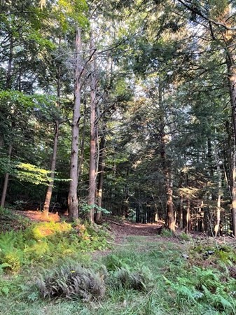 Lot 24 Monroe Road Drury, MA 01343 - Photo 5 of 6 Gallery Image 5