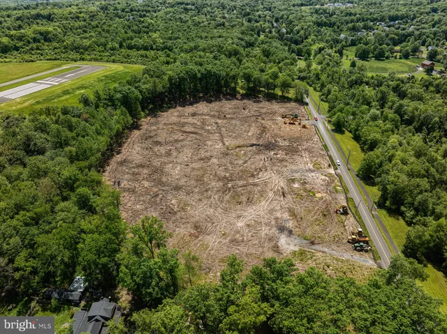 a view of a yard with plants