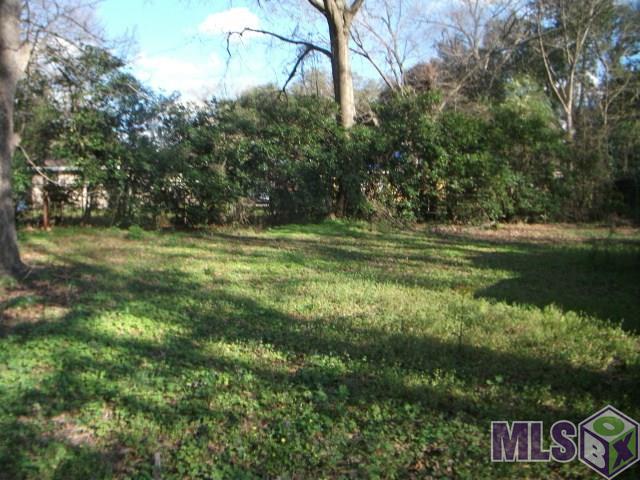 3412 Delaware Street Baton Rouge, LA 70805 - Photo 3 of 5 backyard