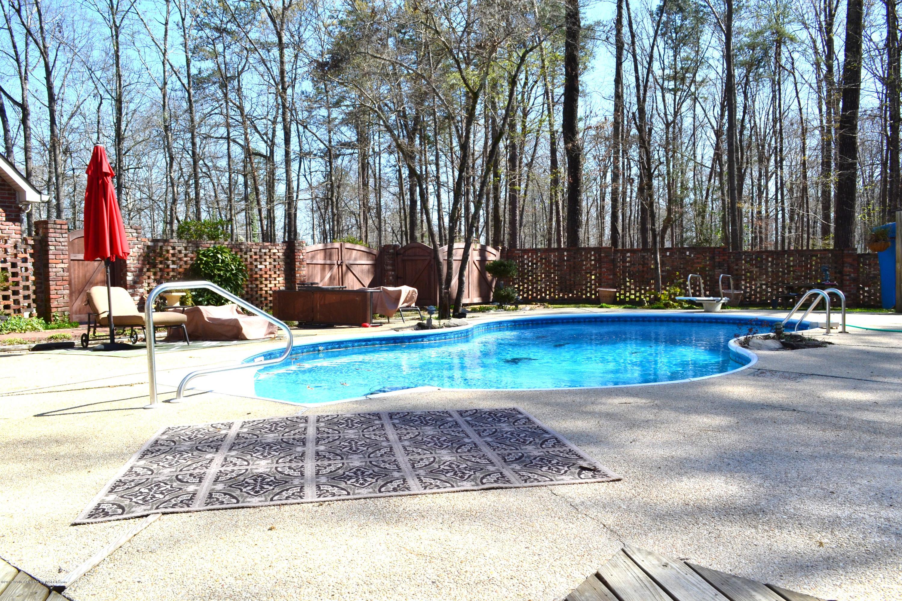 1600 Shades Cliff Road Jasper, AL 35504 - Photo 24 of 33 Gallery Image 24
